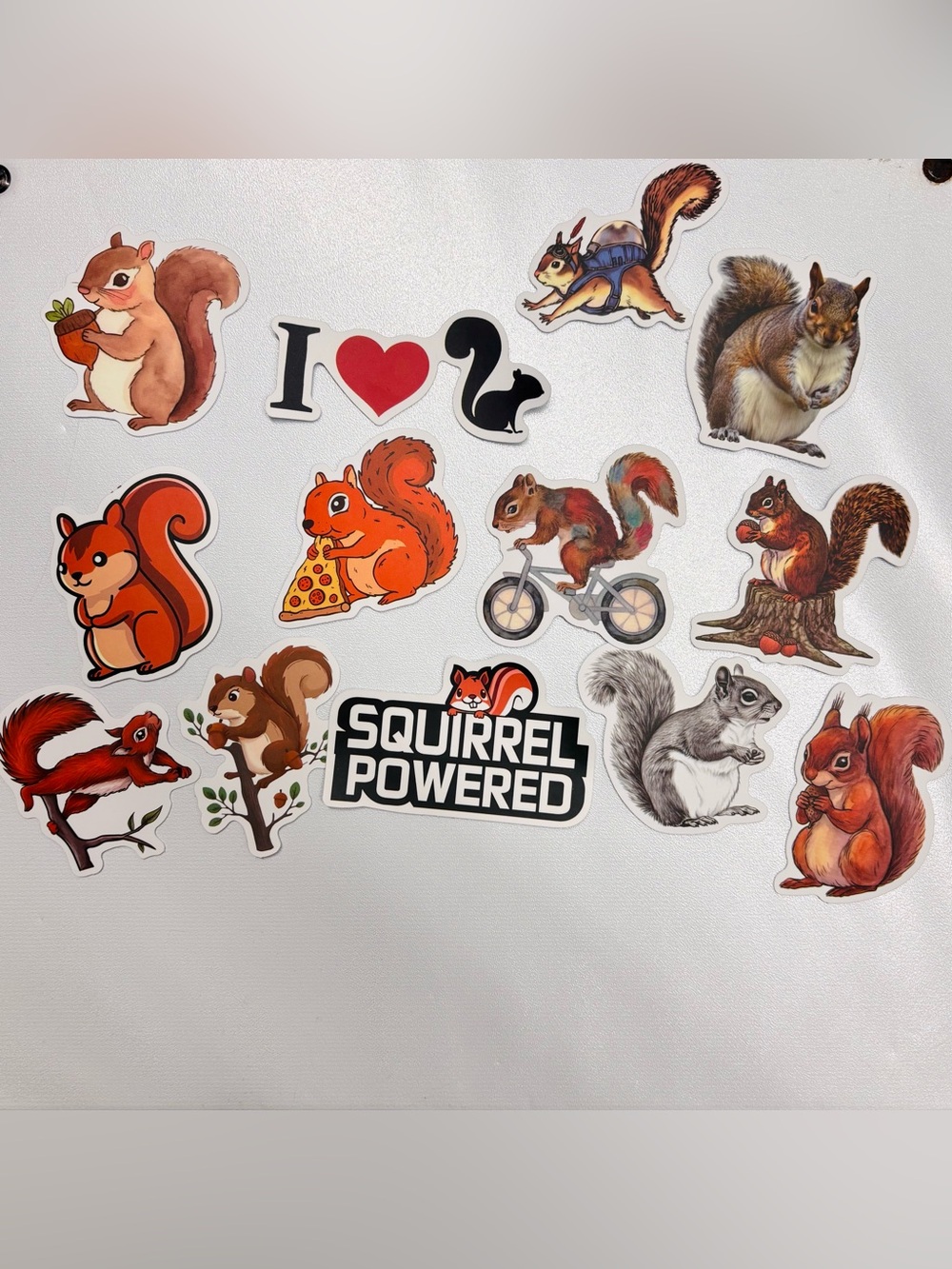 13 pc Squirrel Sticker Set - colorful, vinyl, adorable stickers - 3x2, 2x2